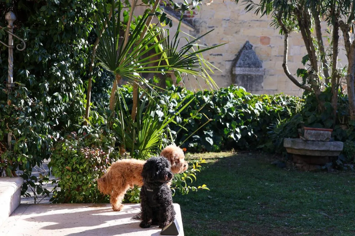 Image 5 of Aurelia Maison