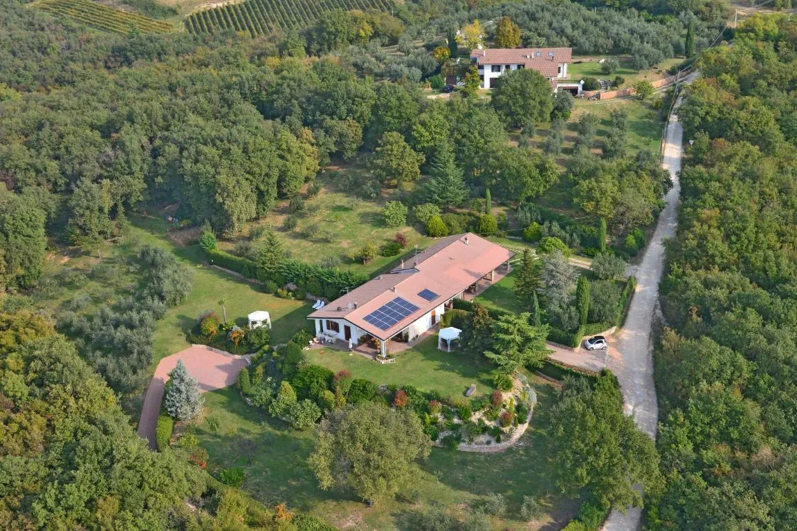 Image of B&B Romy Rocker