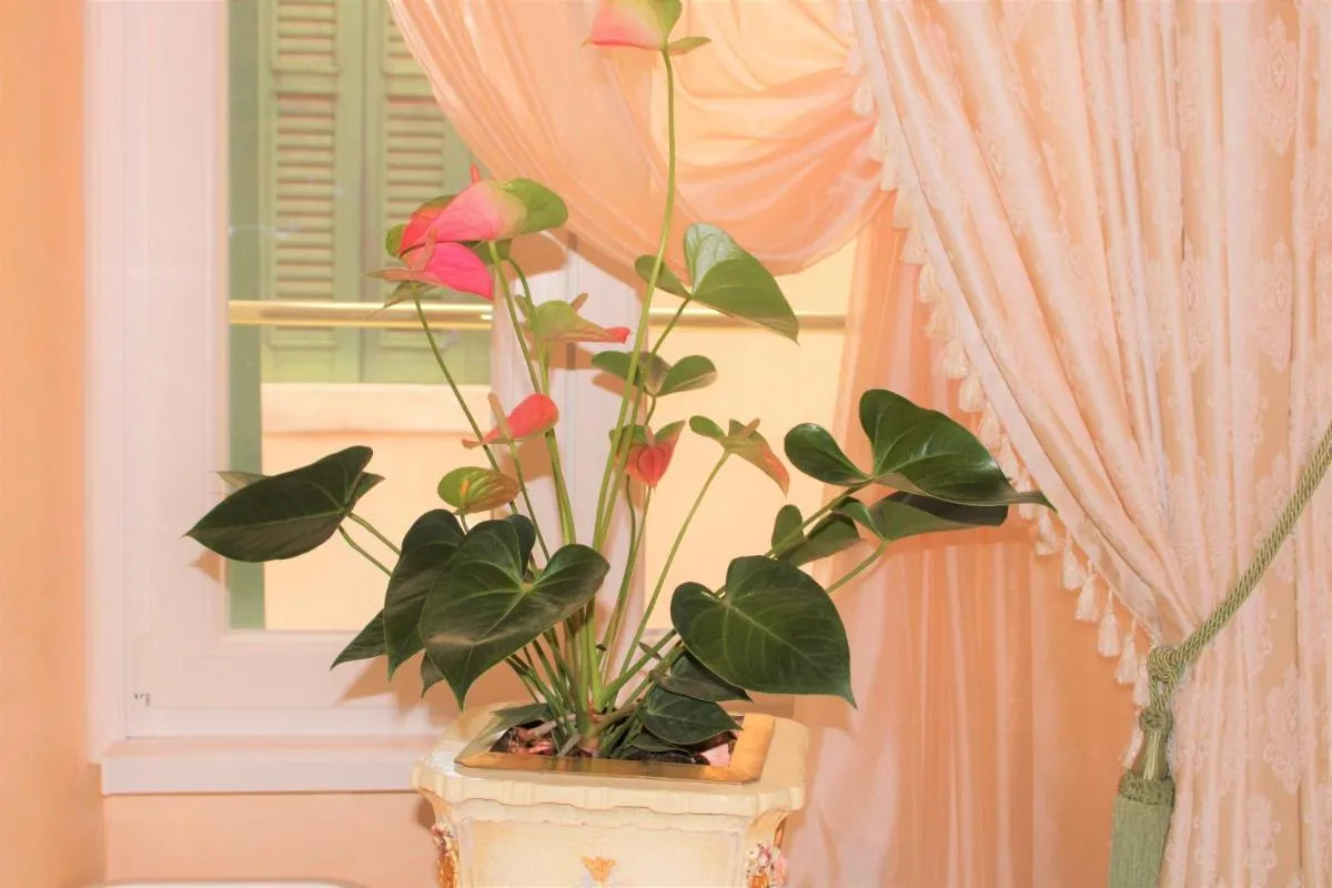 Image 5 of Fiore d’arancio Luxury City Center Apartment