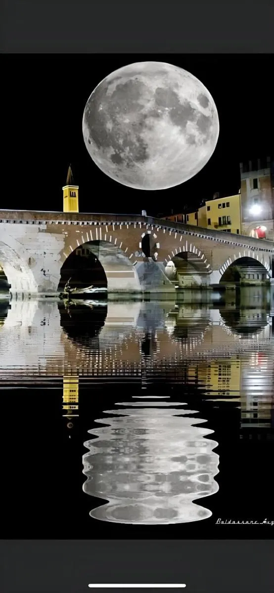 Image 3 of Residenza Bra Verona