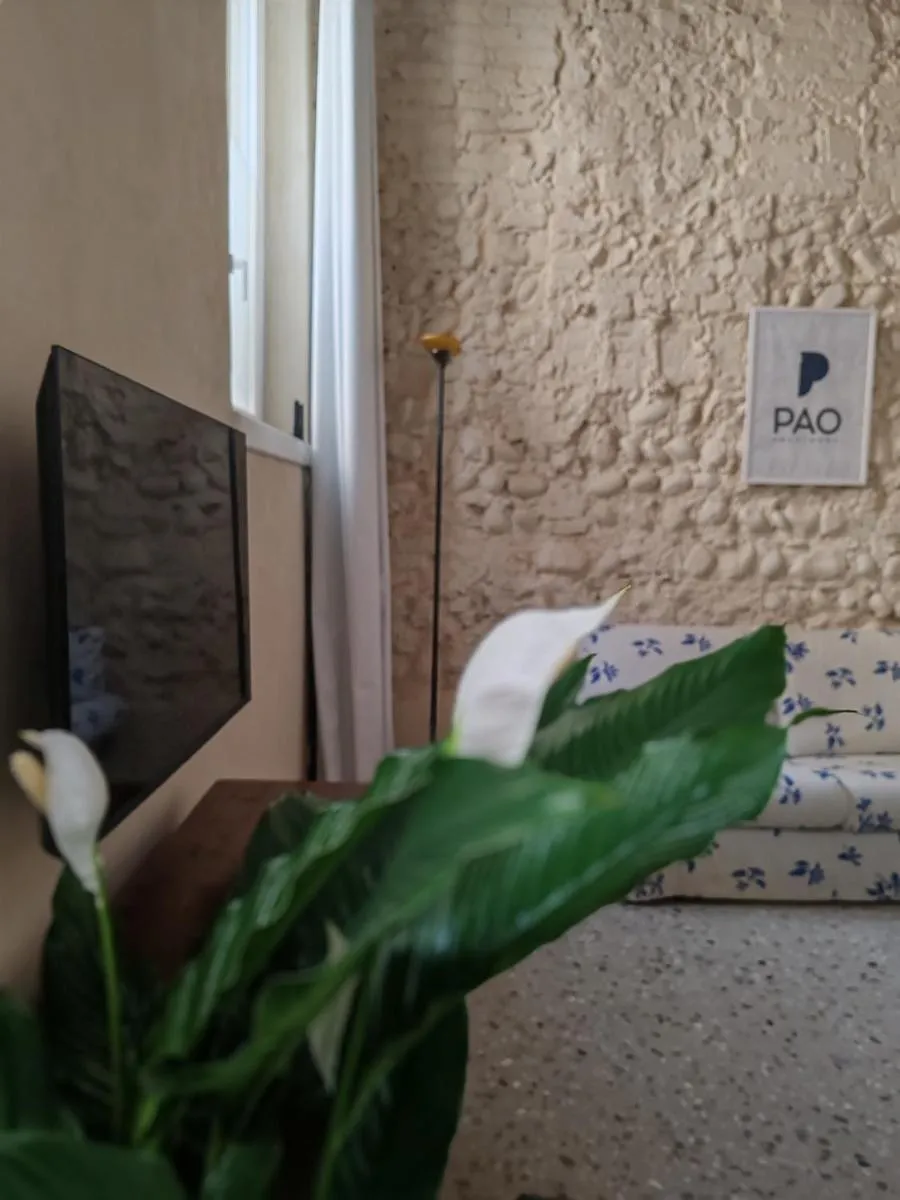 Image 6 of PAO Apartment – Veronetta 1
