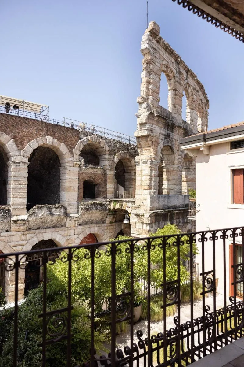 Image 3 of We Home – Vista Arena, incredibile