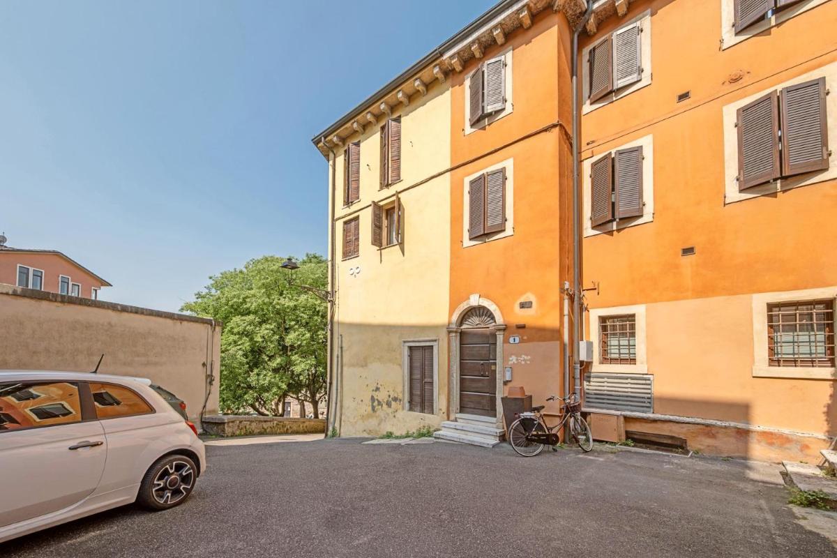 Image 5 of ApartmentsArena – Zini Studios