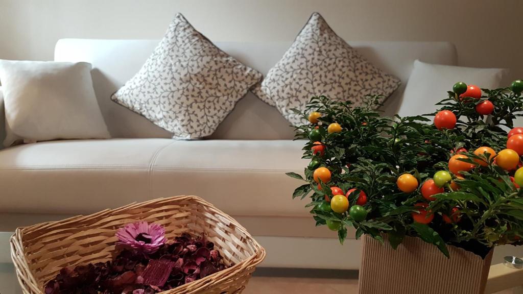 Image of Veronetta lovely apartment